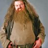 Rubeus Hagrid From Harry Potter paint by number