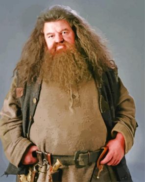 Rubeus Hagrid From Harry Potter paint by number