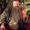 Rubeus Hagrid paint by numbers