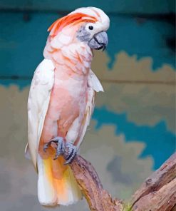 Salmon Crested Cockatoo paint by number