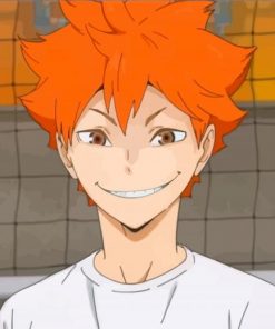 Shoyo Hinata Haikyu Player paint by numbers