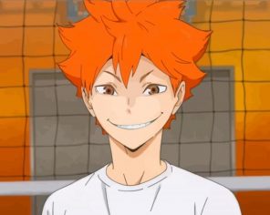 Shoyo Hinata Haikyu Player paint by numbers