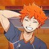 Shoyo Hinata Haikyu paint by numbers