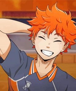 Shoyo Hinata Haikyu paint by numbers