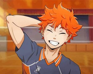 Shoyo Hinata Haikyu paint by numbers