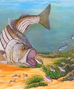 The Striped Bass Fish paint by number