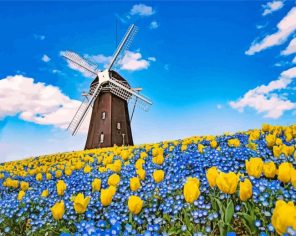 Tsurumi Ryokuchi Windmill paint by number