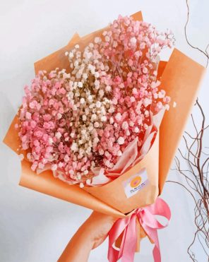 White Pink Babys Breath paint by number