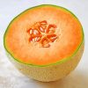 Aesthetic Cantaloupe Fruit paint by numbers