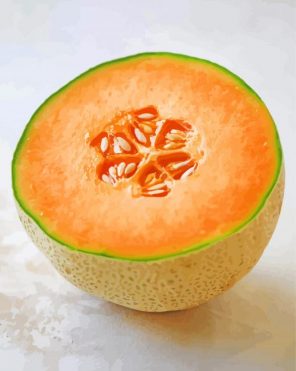 Aesthetic Cantaloupe Fruit paint by numbers