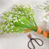 Babys Breath Bouquet paint by number