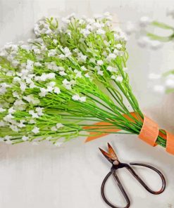 Babys Breath Bouquet paint by number