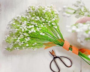 Babys Breath Bouquet paint by number