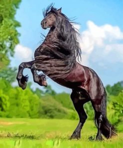 Black Friesian paint by number