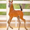 brown Foal paint by number