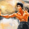 bruce lee warrior paint by numbers