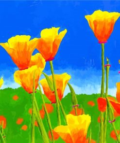 California Poppies paint by numbers