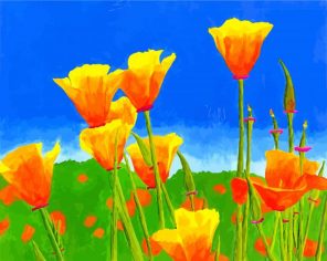 California Poppies paint by numbers