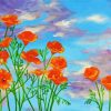 california poppy paint by number