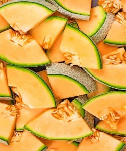 cantaloupe slices paint by numbers