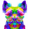 colorful Morkie paint by numbers