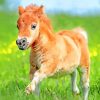 cute foal paint by number