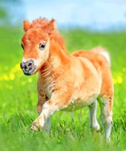 cute foal paint by number