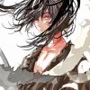 dororo hyakkimaru anime paint by number