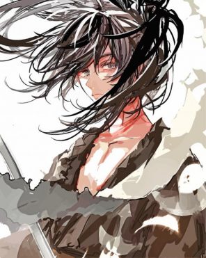 dororo hyakkimaru anime paint by number