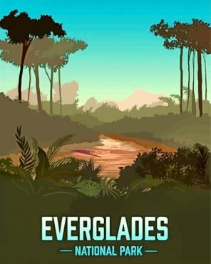 Everglades National Park Landscape paint by number