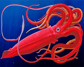 Giant Squid paint by numbers