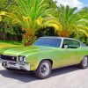 green buick skylark paint by numbers