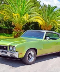 green buick skylark paint by numbers