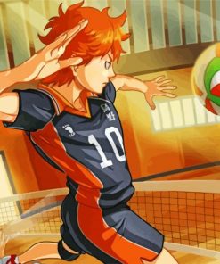 Hinata Shoyo paint by numbers