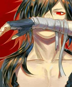 hyakkimaru dororo paint by number