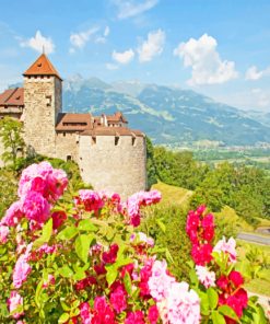 Lichtenstein Castle paint by numbers