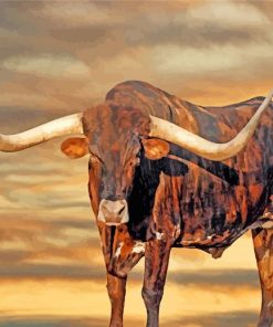 Longhorn paint by numbers