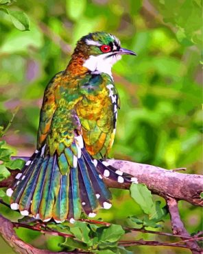 male cuckoo bird paint by number