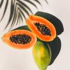 papaya fruit paint by numbers