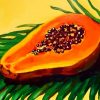 Papaya Illustration paint by numbers