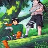 rock lee and neji paint by number