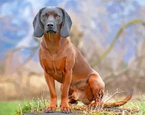 Scent Hound Dog paint by numbers