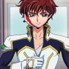 Suzaku Anime paint by numbers