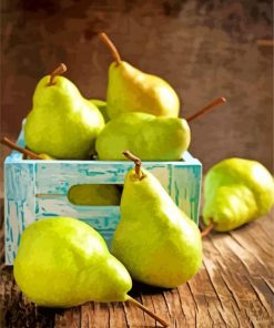 Vintage Pears paint by numbers