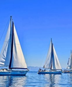 White Sailboats In The Ocean paint by numbers