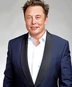 Elon Musk paint by numbers