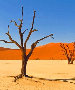 Kalahari Desert paint by numbers