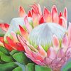 Protea Plants Art paint by numbers