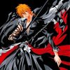 Aesthetic Ichigo Kurosaki paint by numbers