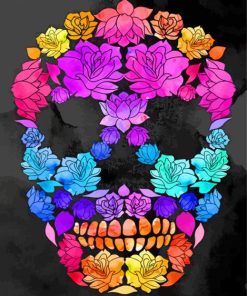 Colorful Skull paint by numbers